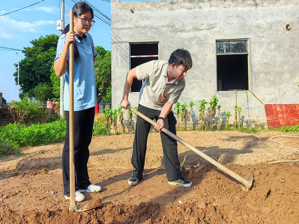 宜宾正规叛逆青少年素质教育学校具体位置与择校指南